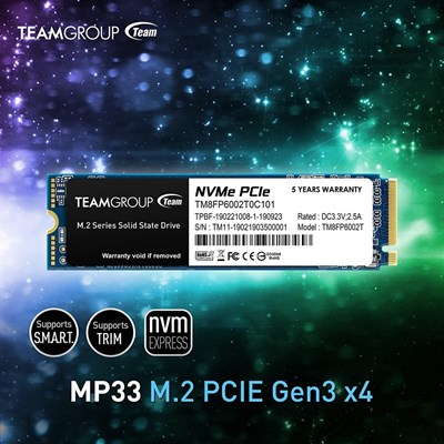 MP33 SSD 256GB M.2 PCIe Gen3x4 2280 NVMe